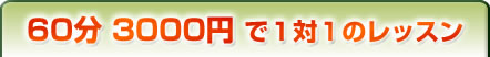 60分3000円で1対1のレッスン