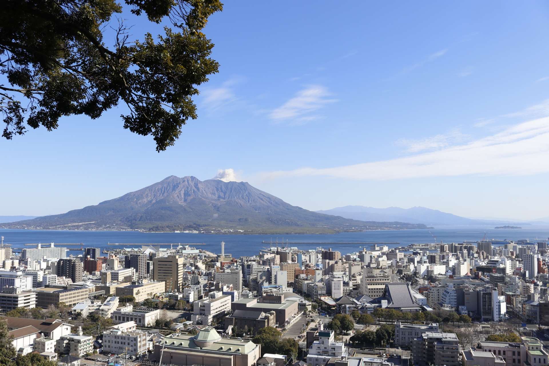 澄み切った青空の下、水に囲まれた大きな火山を背景にした、魅惑的な鹿児島市の眺め。木の枝が上の角を縁取り、絵のように美しい魅力を添えています。韓国語教室での経験と同じくらい活気に満ちた、充実した光景です。