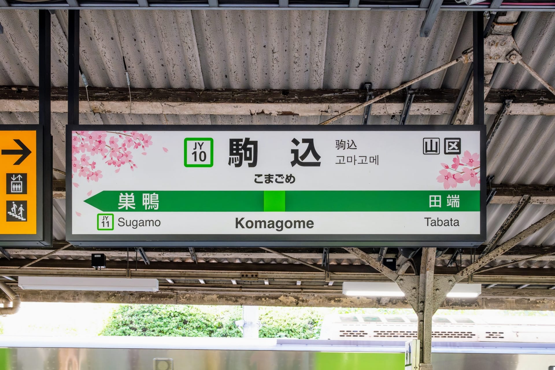 桜で飾られた駅の標識には、巣鴨と田端への道順が日本語と英語で表示されています。駒込の近くにあるこの景勝地は、静かな旅の真髄をとらえています。.