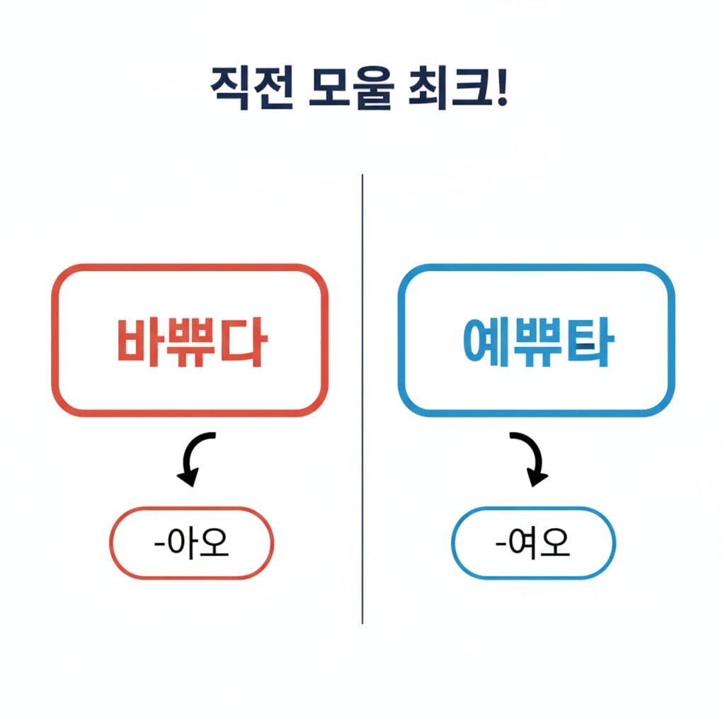 「으変則」の分岐ルール。「바쁘다（陽母音）」→「-아요」、「예쁘다（陰母音）」→「-어요」と色分けされたチャート。