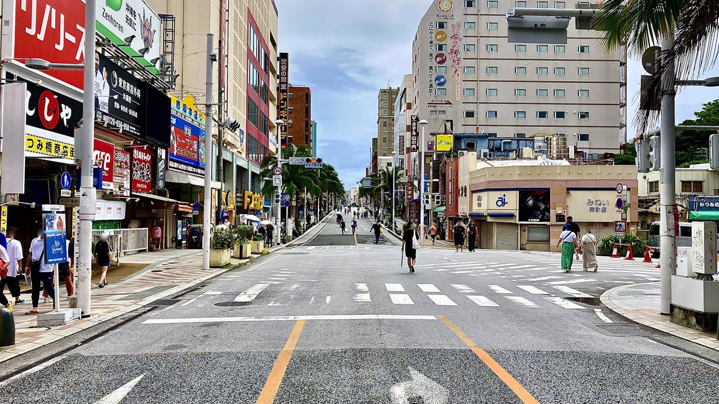 ほぼ曇りの日、商店が立ち並ぶ広い街路、日本語の看板、横断歩道を渡る歩行者。.
