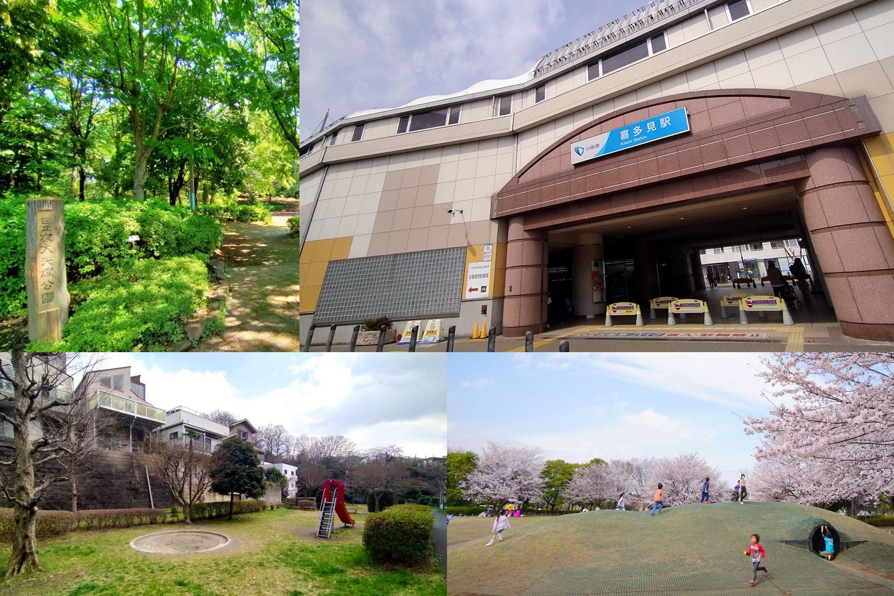 雑木林の園路、駅の入り口、滑り台のある遊び場、桜の咲く芝生の丘を歩く人々を写したコラージュ。.