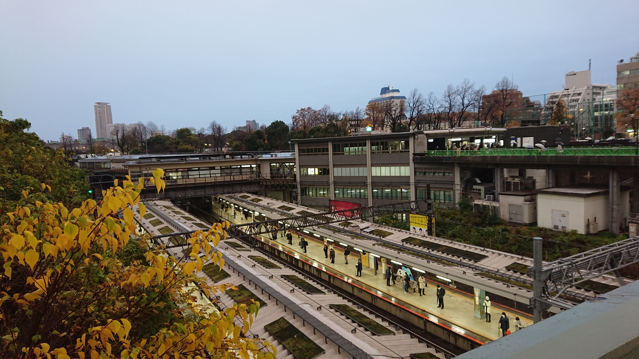 曇り空の下、紅葉した木々に囲まれ、背景には街のビル群が見える、人々が待つ駅のホーム。.