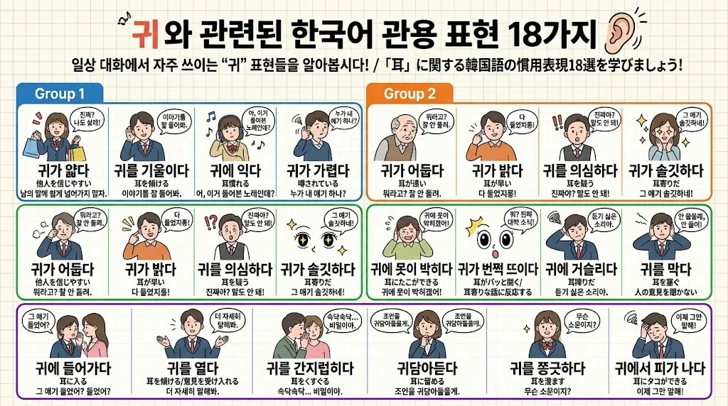 18の「耳」に関する表現を色分けで整理したインフォグラフィック