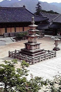 韓国語教室の先生