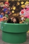 写真4