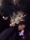 写真2