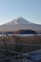 写真4