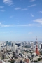 写真3
