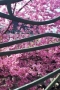 写真8