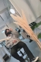 写真3