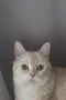 新丸子の11443先生